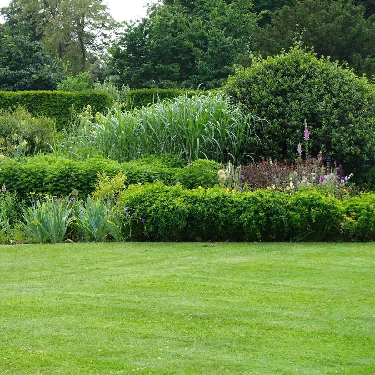 Design Secrets to a Beautiful Yard & Garden